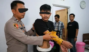 (Foto: Dok. Istimewa/Ilustrasi Media)